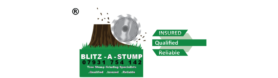 Tree Stump Grinder At Its Best - Stump Grinder (960x350)