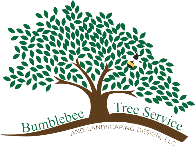 Bumblebee Tree Service & Landscape Design Llc (677x511)