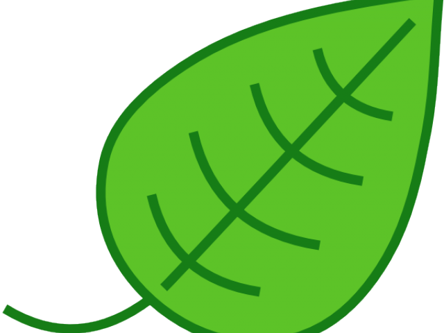 Green Leaves Clipart Grean - Leaf Clipart (640x480)