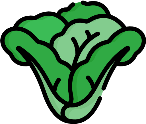 Lettuce Free Icon - Lettuce Free Icon (512x512)