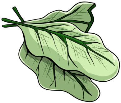 Kualla Leaves By Wyngrew - Kualla Leaves By Wyngrew (400x400)