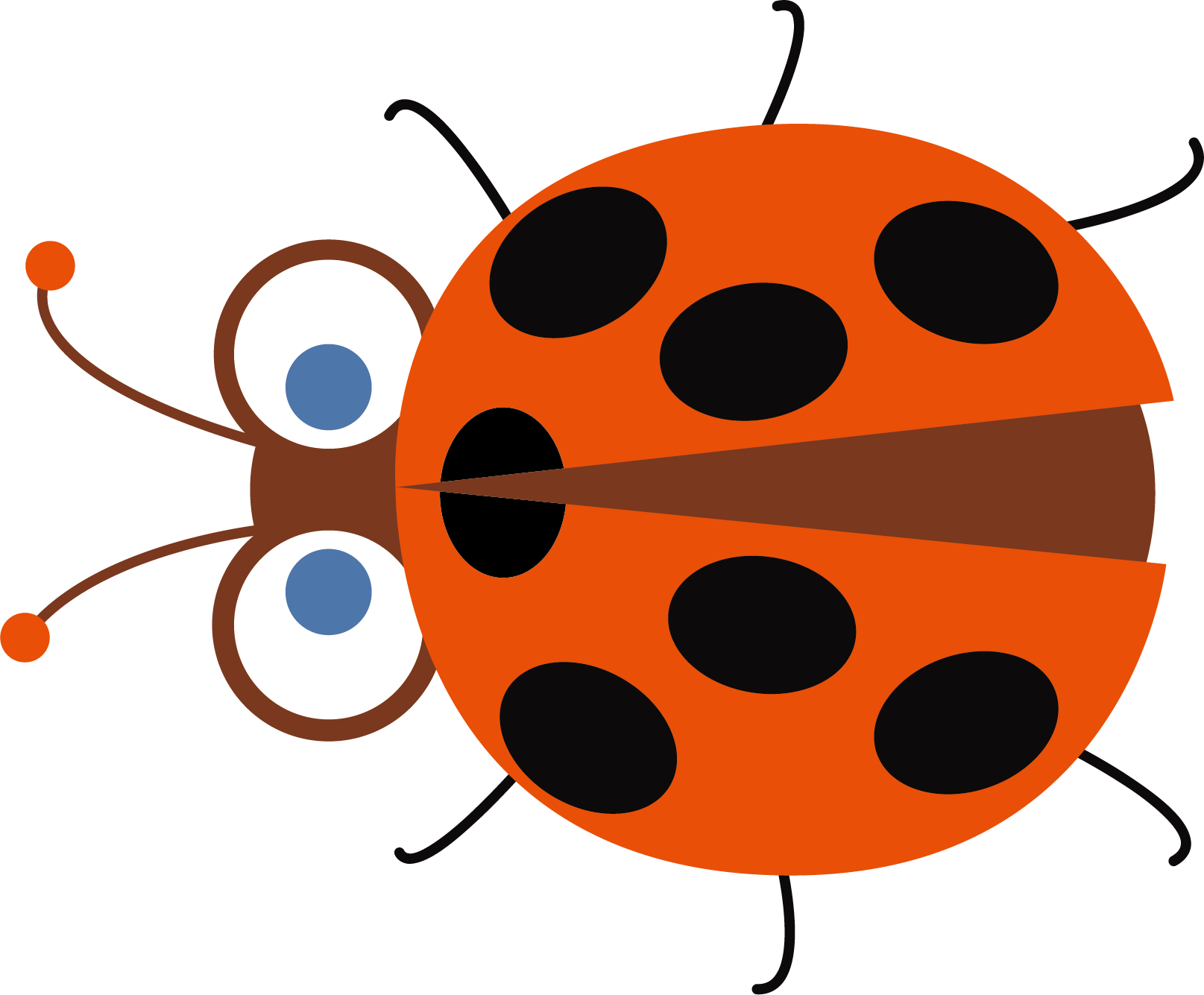 Ladybird Insect Cartoon Busy Bags - Ladybird Beetle (1615x1335)