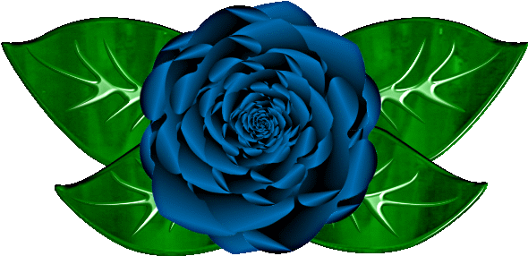 Blue Rose Flower Clipart - Garden Roses (618x311)
