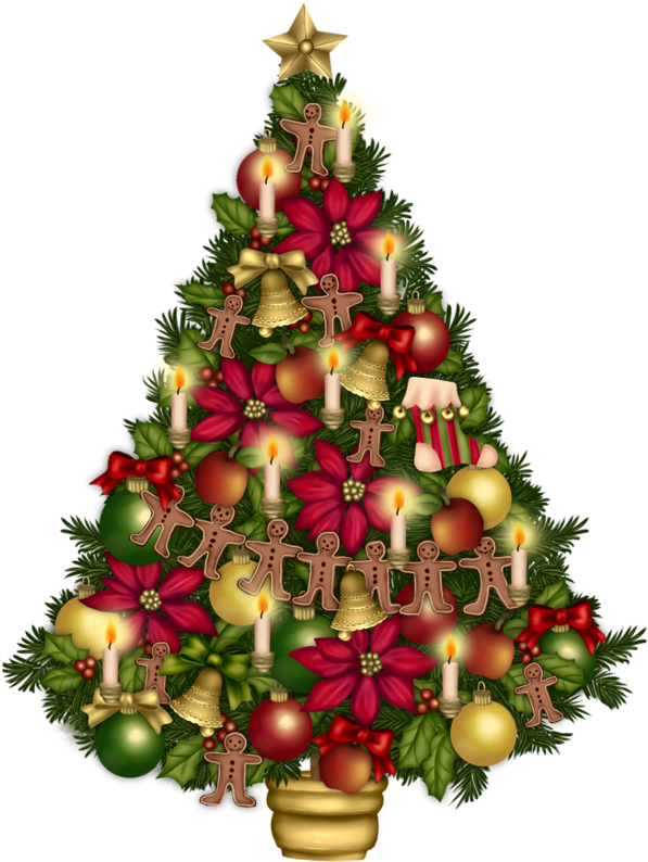 Sapins,noel,christmas, - Christmas Tree Clipart Transparent Background (596x800)