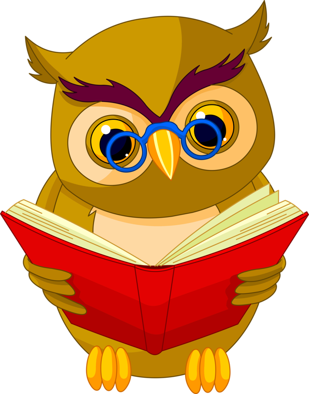 9 Png Owl Clip Art And Craft Art Rh Pinterest Com Au - Owl Cartoon (628x800)