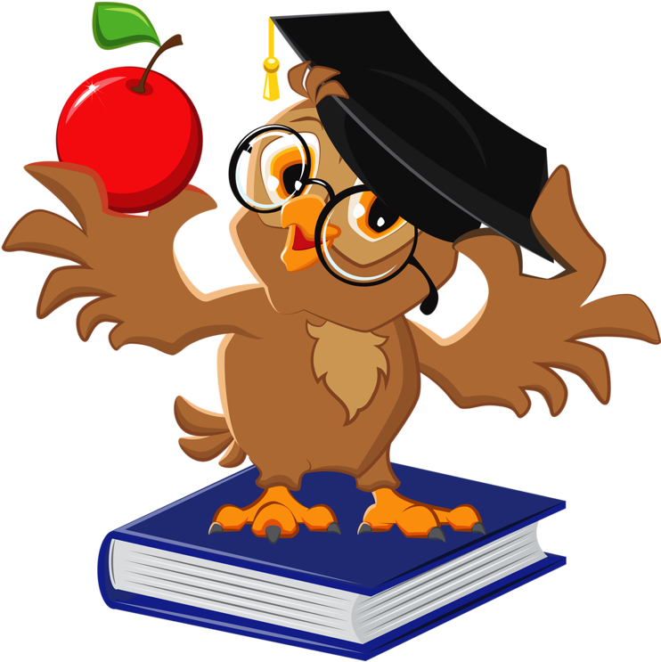 Owl Teacher Clip Art - Personalised Gifts Shop Personalised Teacher Mug (769x800)