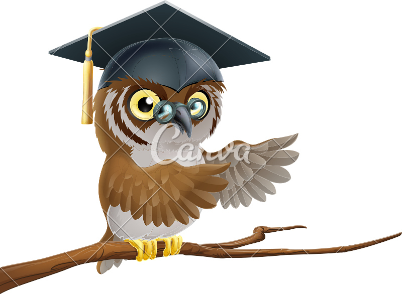 Owl Graduate Or Teacher Icon - Imagenes De Buhos Con Sombrero (800x586)