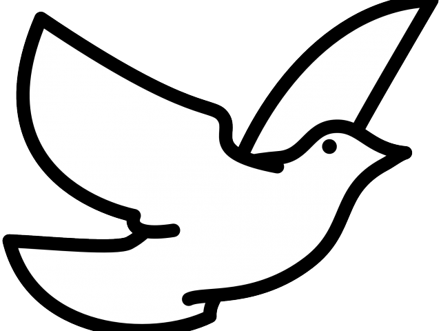 Peace Dove Clipart Colouring - Bird Clipart Black And White (640x480)