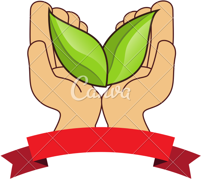 Leaves Healthy Food Icon - Christmas Background Minimalist (800x800)