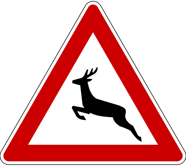 Road Traffic Sign, Road Sign, Shield, Traffic, Road - Kresz Táblák Szarvas (640x571)