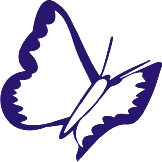 Airport Transfers - Orachrysops Niobe (640x640)