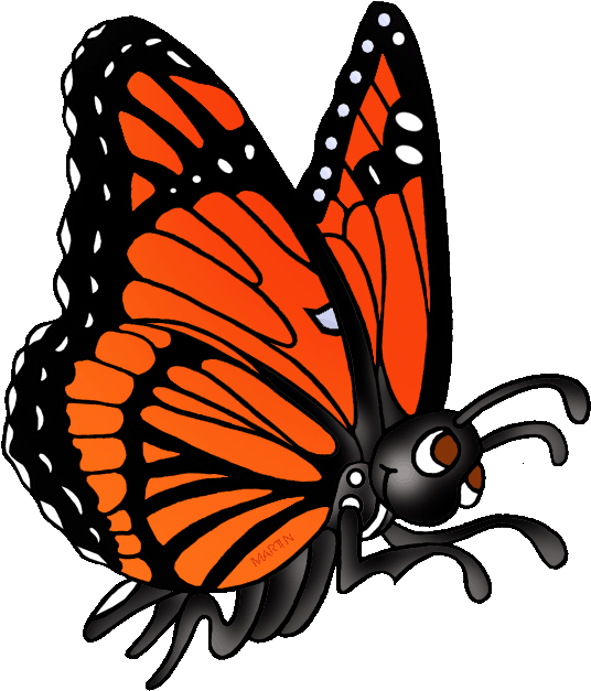 Animl Clipart Butterfly - Phillip Martin Clip Art Butterfly (571x648)