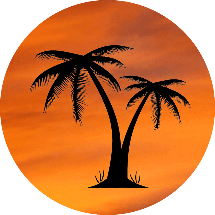 Orange Sky With Palm Tree Locketz Design - Transparent Background Palm Tree Png (720x720)