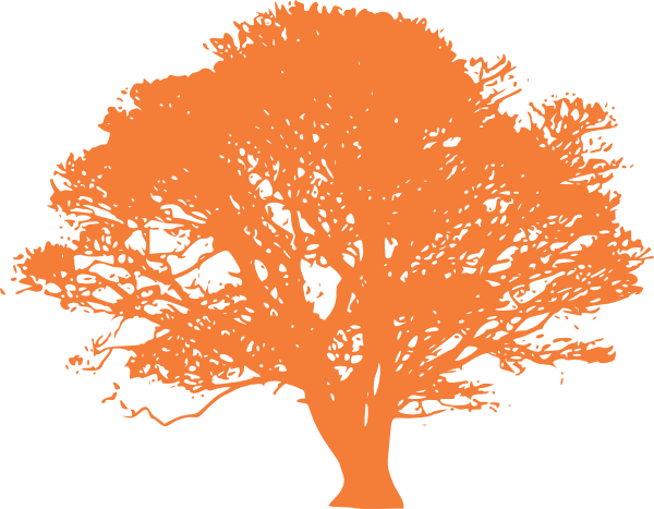 Tree Orange Silhouette White Background 2 Clip Art - Oak Tree Silhouette (600x467)