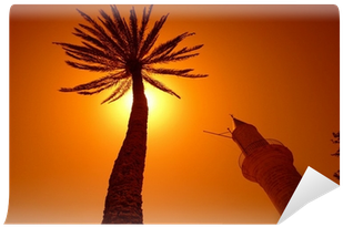 Mosquée Hala Sultan Tekkesi De Larnaka À Chypre Wall - Silhouette (400x400)