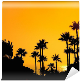 Puesta De Sol En Chiclana, Cadiz, España - Palm Trees (400x400)