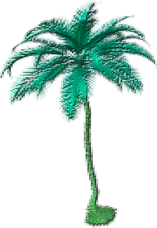 Wowlovelymystuffx Transparent Gif - Palm Tree Gif Png (590x768)