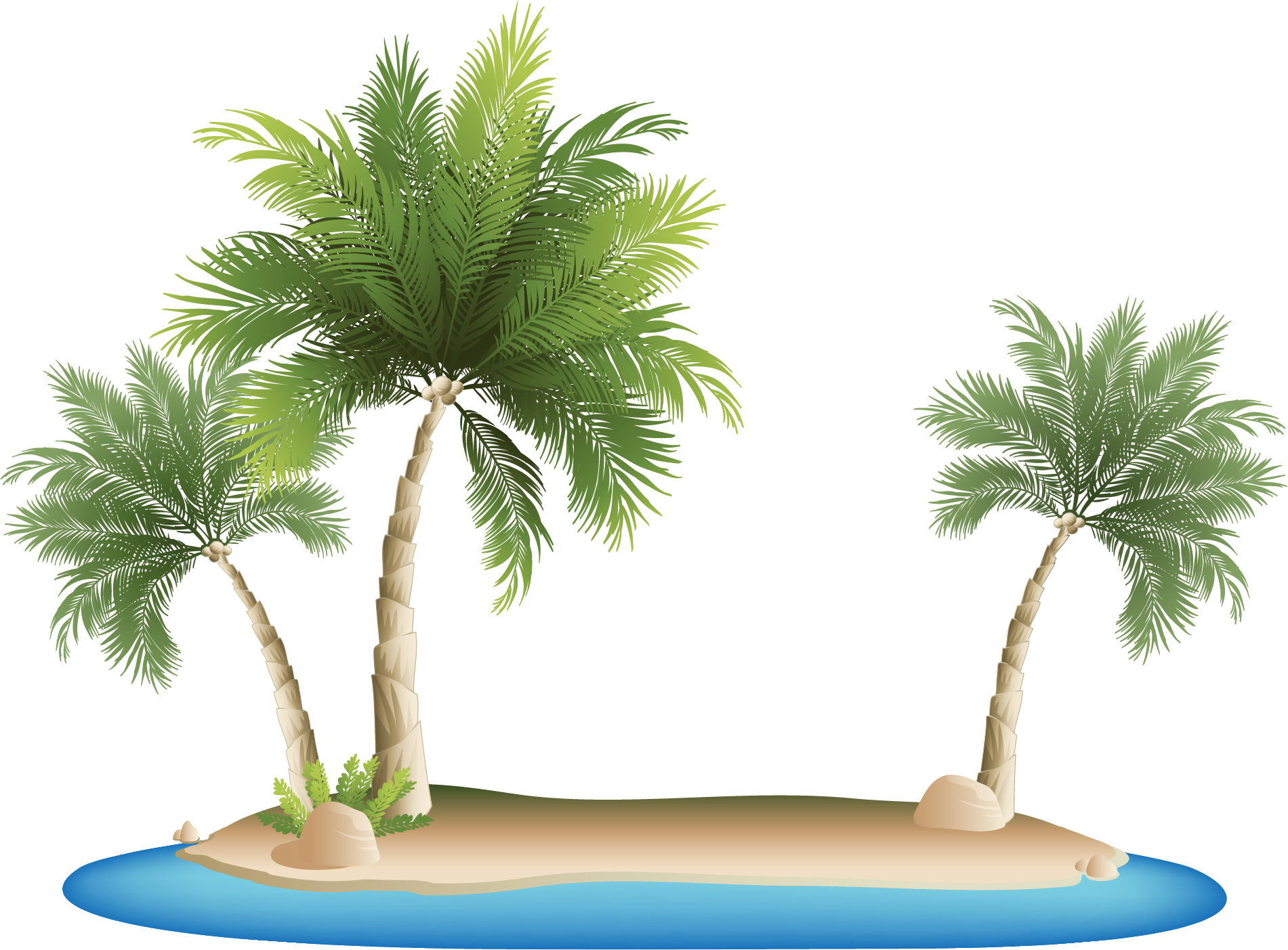 Palm Islands Tropical Islands Resort Clip Art - Palm Tree Beach Png (1901x1403)