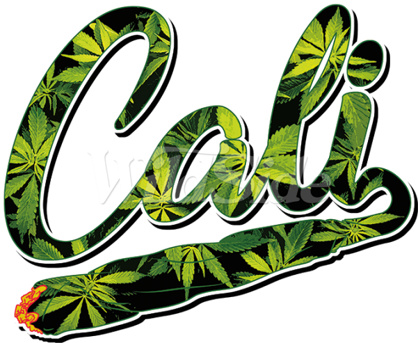 Cali Blunt - Artix Cali Blunt What To Do In Los Angeles? California (600x600)