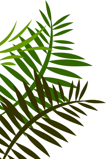 Leaf Mural - Google Search - Fern Leaf Shower Curtain (351x526)