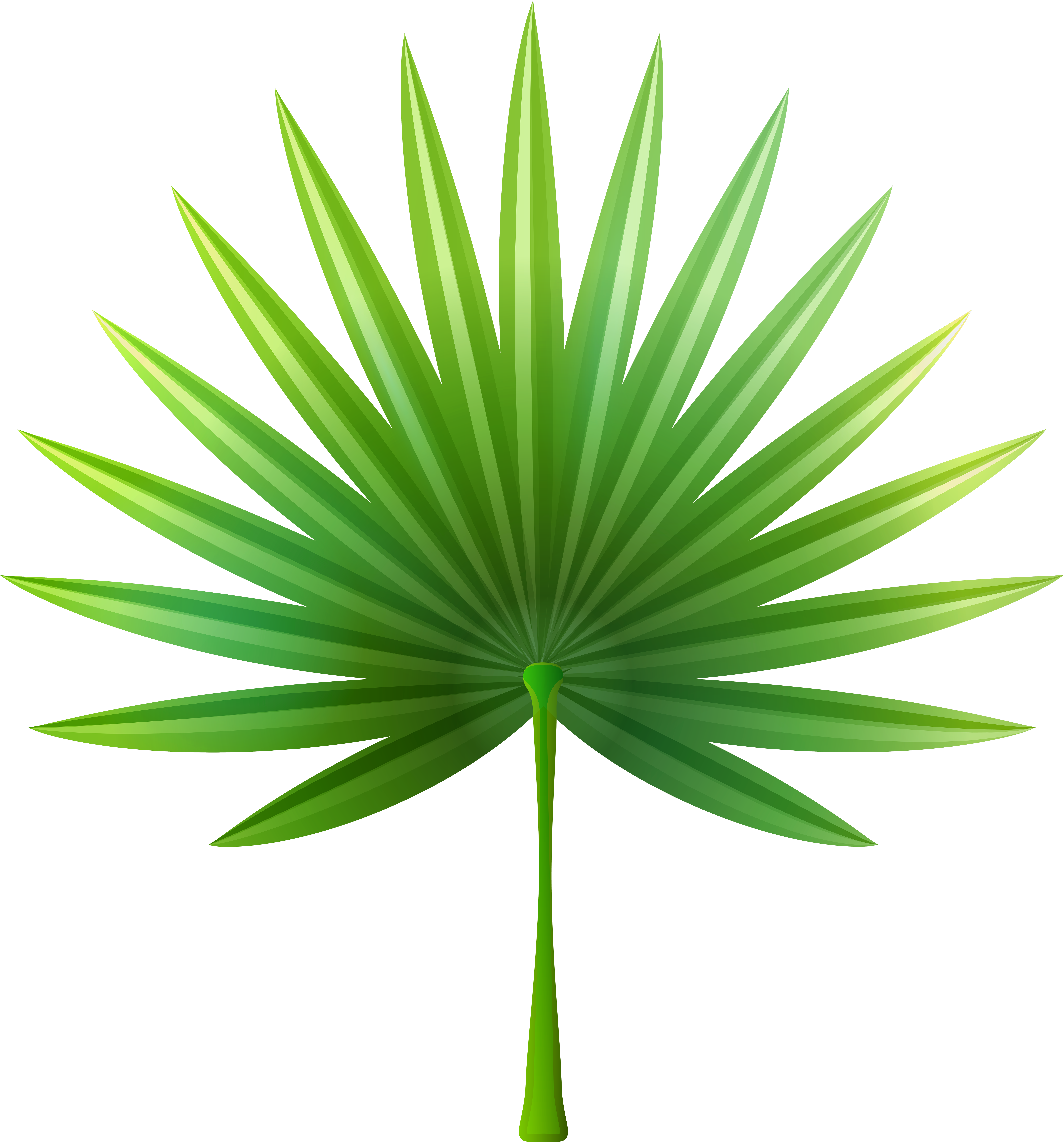 Exotic Clipart For Kid - Exotic Clipart For Kid (7503x8000)