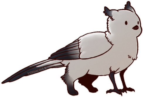 Ferret Clipart - Clip Art (500x373)