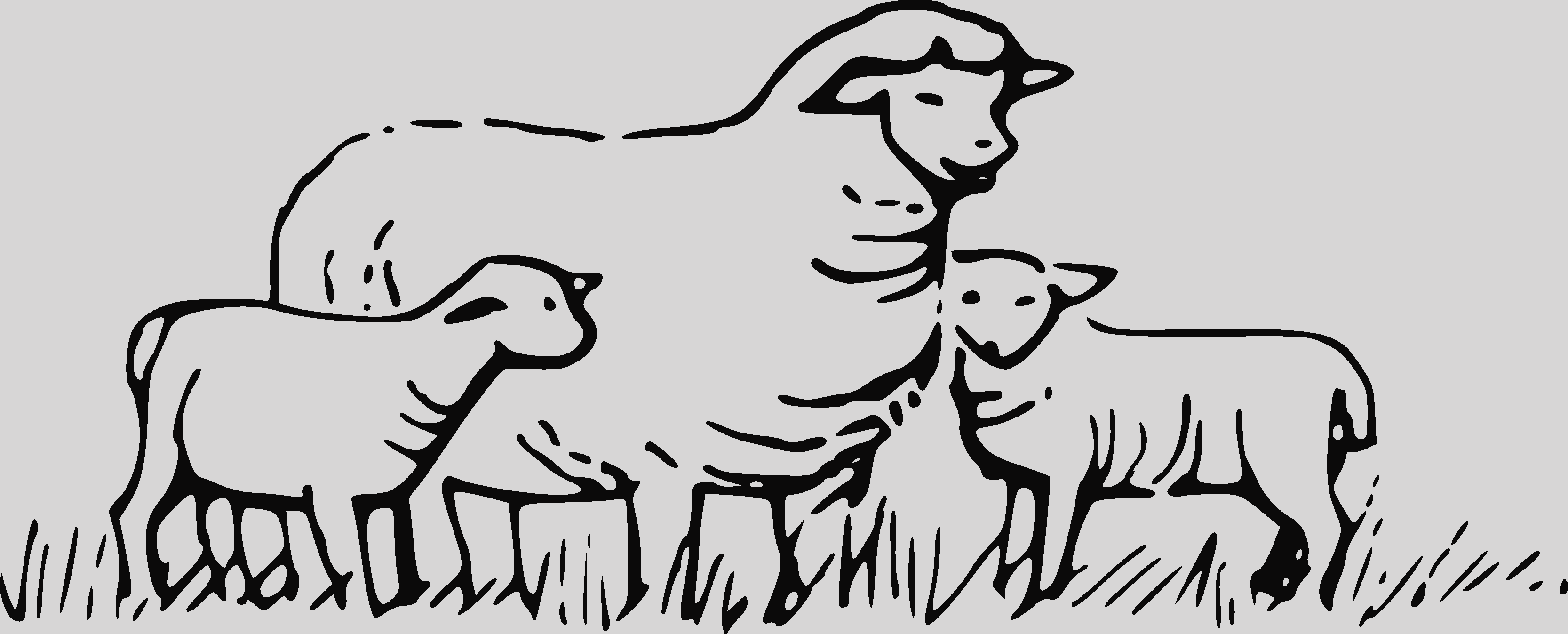Clip Art Sheep Black And White Sheep Lamb Clipart Black - Importance Of Family Poem (3333x1347)
