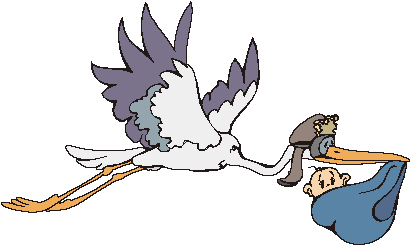 Cartoon Stork Delivering A Baby - Gif Animate Nascite (500x275)