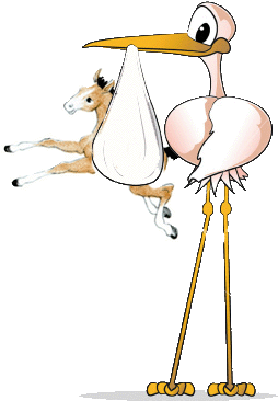 Due May 15, - Mensajes Para Un Bebe Que Acaba De Nacer (360x380)