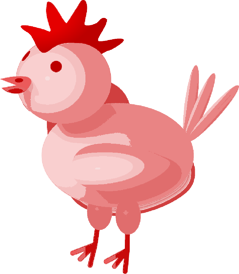 Chicken, Easter, Yellow Animal, Farm, Agriculture - 3d Chicken Shower Curtain (800x917)