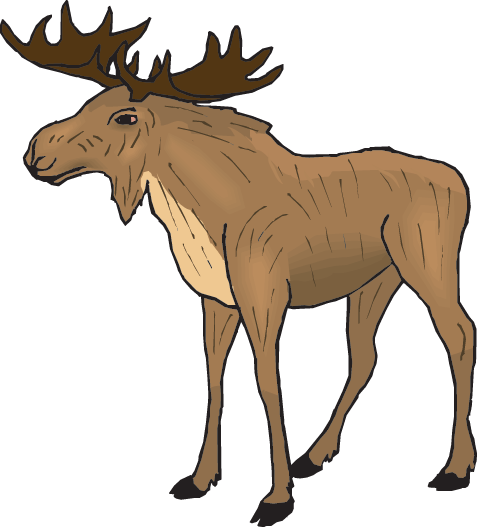 Cricket Clipart Primary Consumer - Elk Clipart (477x527)