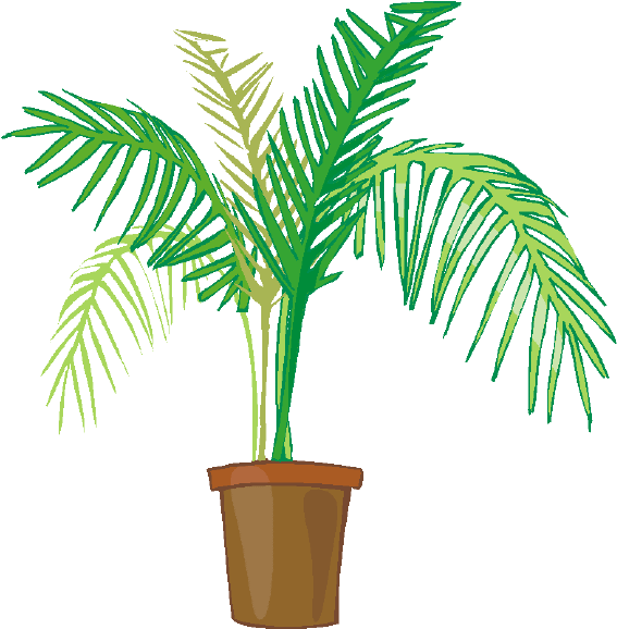 Palm Plant Clip Art (600x579)