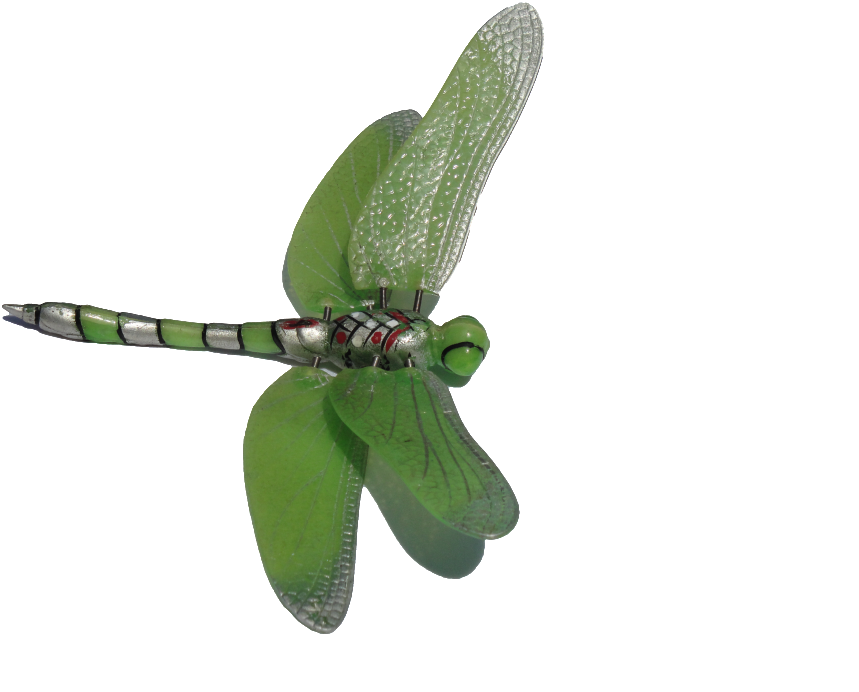 Dragonfly Clipart - Green Dragonfly Clipart (1024x768)
