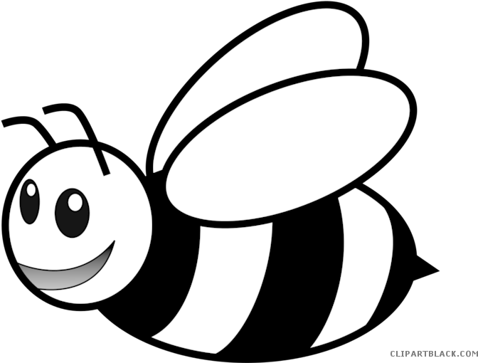 Black And White Bee Clipart Clipartblack Com Rh Clipartblack - Bee Black And White (700x588)