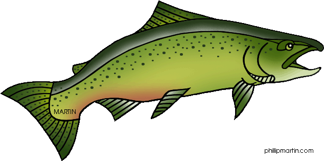 Salmon - Clipart - - Salmon Clipart (648x329)