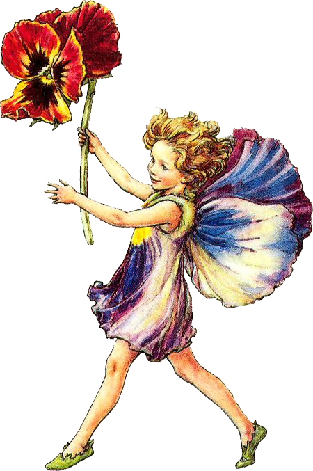 Fairy Png Clipart - Flower Fairy Alphabet A By Cicely Mary Barker (450x677)