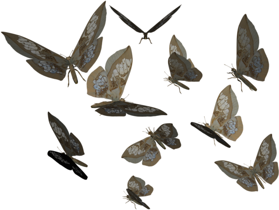 Glass Wing Butterfly Clip Art By Madetobeunique - Butterfly Dreaming Art Print - Mini By Suzannecarter (600x420)