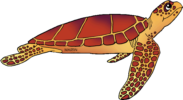Sea Turtle Clipart Kemp's Ridley - South Carolina State Reptile (648x377)