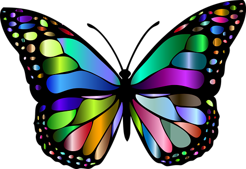Hewan, Kupu Kupu, Chromatic, Warna Warni - Butterfly Clipart (494x340)