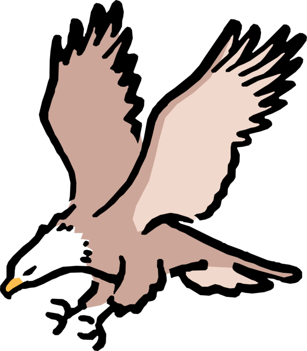 Vector Illustration Of Cartoon American Bald Eagle - Bald Eagle Clip Art (613x700)