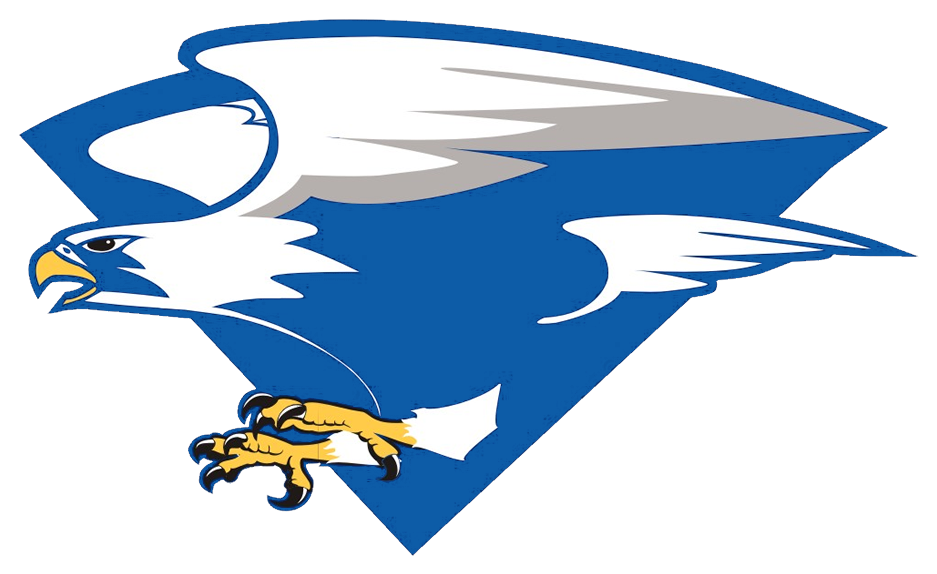 North Forney Falcons - Air Force Falcons Football (949x584)