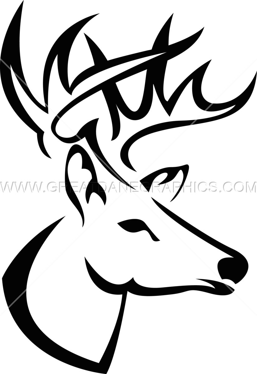 Deer Skull Art Download - Buck Head Line Drawing (825x1200)