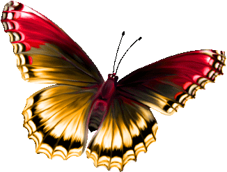 135751051 4 - Brown And Blue Butterfly (400x400)