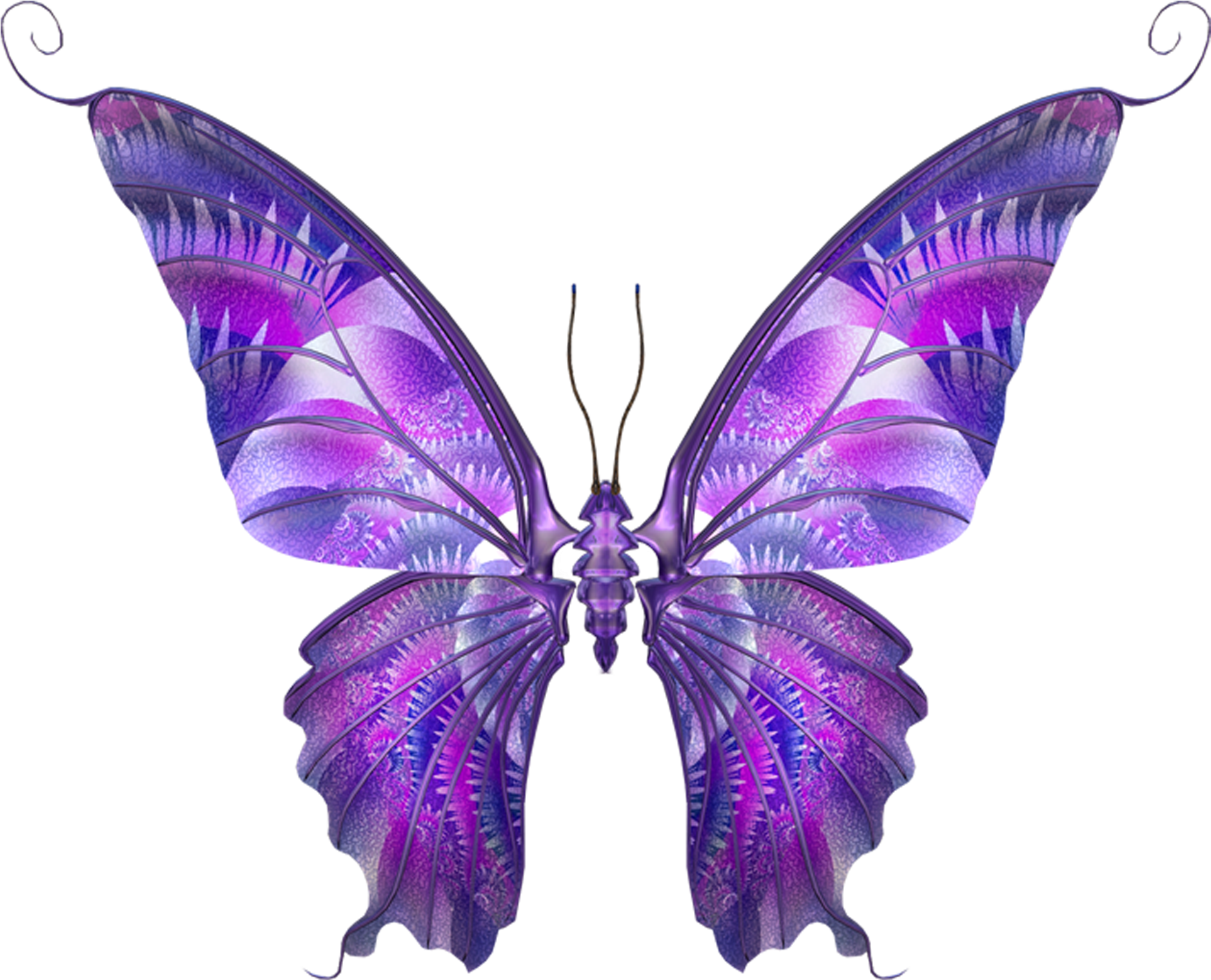 Butterfly Papillon Dog Hemiargus Ceraunus Clip Art - Fibro Butterfly Heart Shower Curtain (3000x2953)
