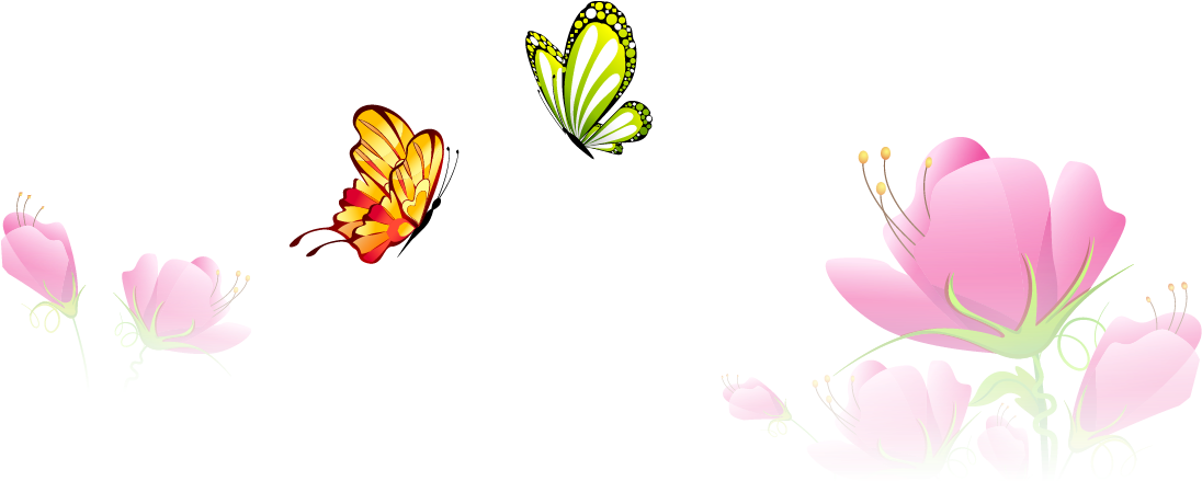Butterfly Flower Euclidean Vector - Butterfly Flower Euclidean Vector (1095x508)