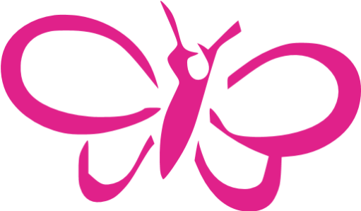 Orange Butterfly Icon (512x512)