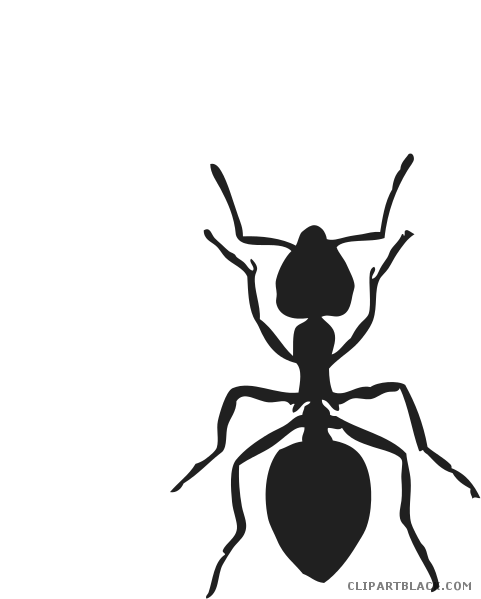 Black And White Ants Animal Free Black White Clipart - Ant Clip Art Black And White Ant (481x599)