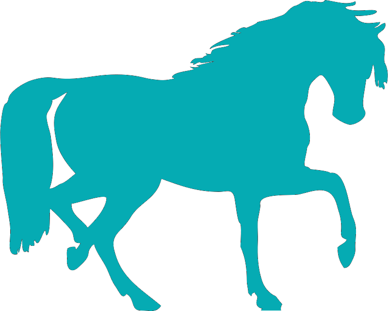 Facebook - Twitter - Horse Silhouette Clip Art (800x640)