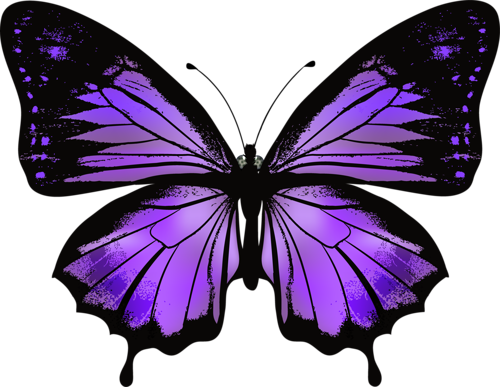 [ Img] - Mor Kelebek Png (500x387)