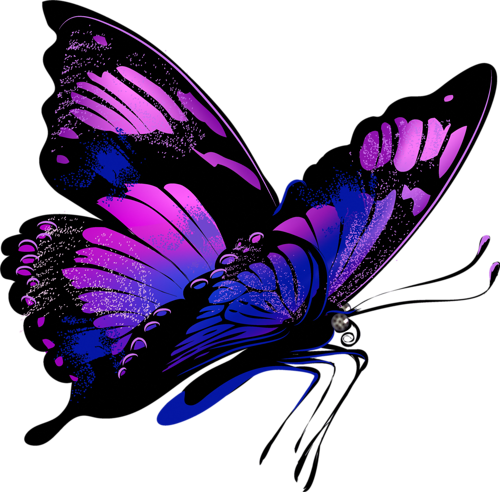 En Güzel Png Kelebek Görselleri Butterfly Png - Butterfly (500x492)